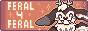 feral4feral